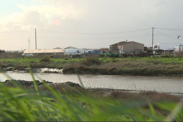 L'épicentre se situait à Bouin, en Vendée.