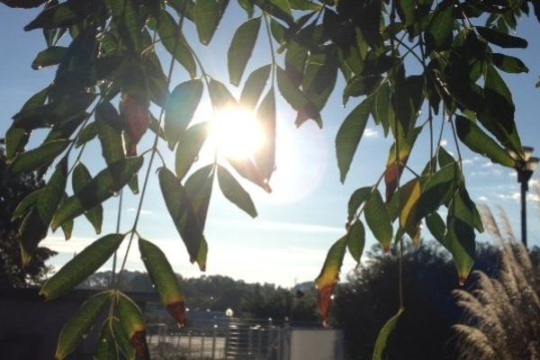 Le soleil brille ce samedi matin en Languedoc-Roussillon