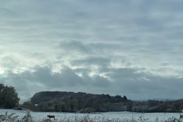 La vigilance orange "vent" a été levée pour les trois départements de l'ex-région Limousin qui sont néanmoins passés en vigilance jaune "neige et verglas". En raison d'un phénomène de regel sur une grande partie de la moitié nord du pays, le sol est particulièrement glissant et verglacé dans certains secteurs.