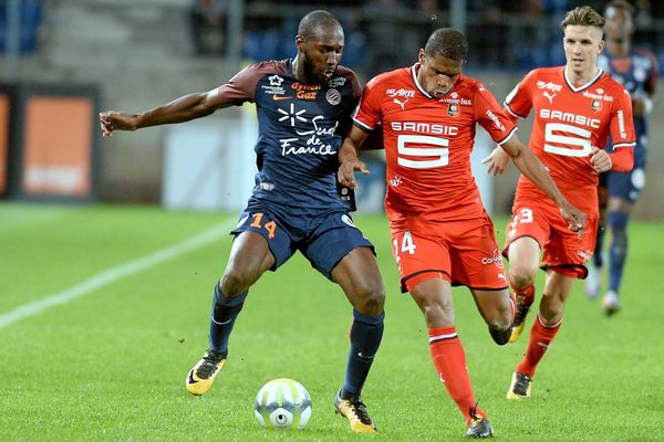 Le MHSC s'est incliné face au Stade Rennais 0 à 1 à la Mosson samedi soir - 28 octobre 2017.