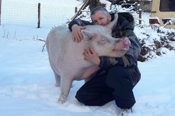 A travers son refuge, Jean-Luc Daub a permis à des animaux d'élevage de découvrir la vie en extérieur pour la première fois.