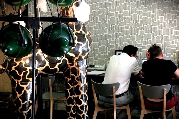 Café bureau "La Giraffe"