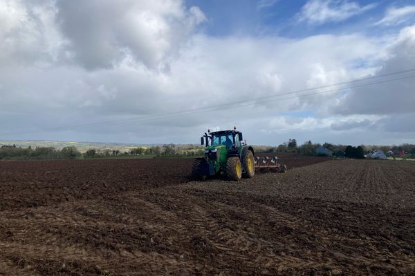 Avec le retour du temps plus sec, les maraîchers du nord Finistère peuvent enfin labourer leurs champs pour entamer les plantations... avec un mois de retard