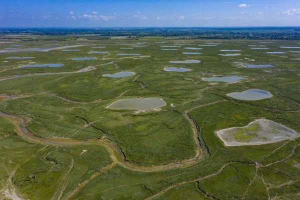 Quatre départements des Hauts-de-France sont dans le top 10 Airbnb. Photo d'illustration : la baie de Somme.