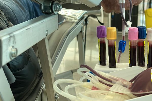 800 dons de sang par semaine sont nécessaires en Limousin.