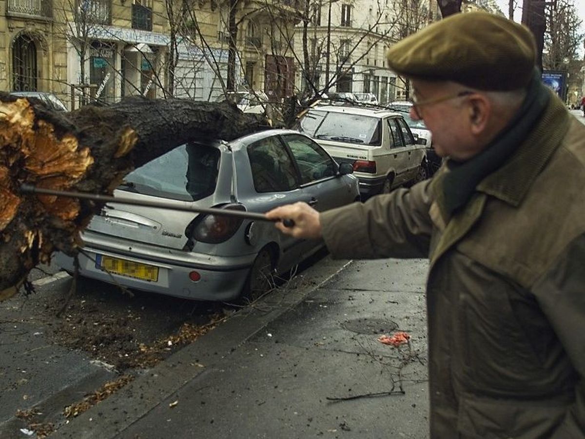 Prévisions des tempêtes : 20 ans après Lothar, «on a gagné en capacité  d'anticipation» - Le Parisien