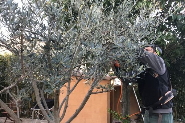 Malgré le coronavirus les jardiniers-paysagistes continuent à travailler malgré l'épidémie mais en adaptant leurs méthodes de travail.