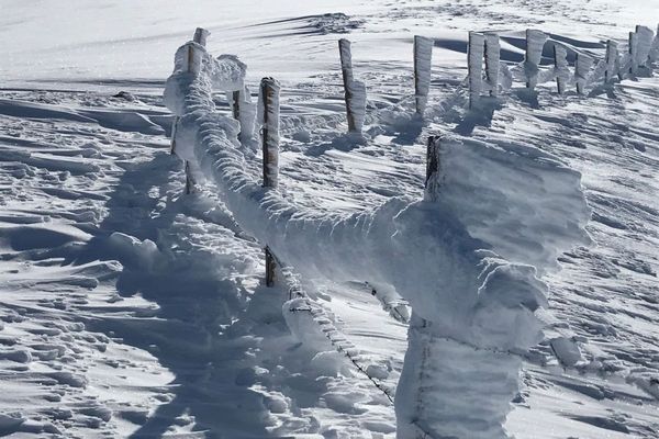 Dans le Cantal, à Prat-de-Bouc, le froid façonne les paysages.