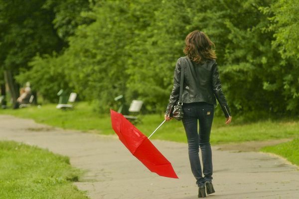 Et le voila de sortie, notre ami fidèle le parapluie