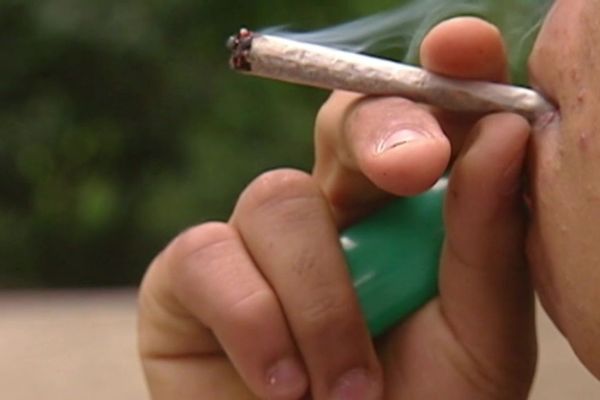 En France, 4 millions de personnes fument régulièrement ou occasionnellement du cannabis.