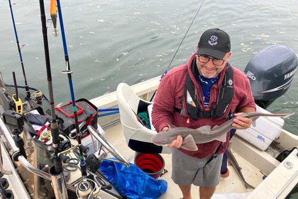 Comme Raphaël Brunias, 36 amateurs ont participé au challenge organisé par l'APECS et Brestfishing