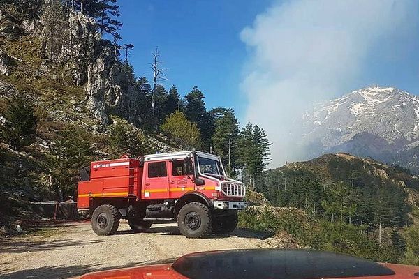 25/04/2017 - 12 hectares de végétations détruits dans un incendie sur la commune de Vivario (Haute-Corse)