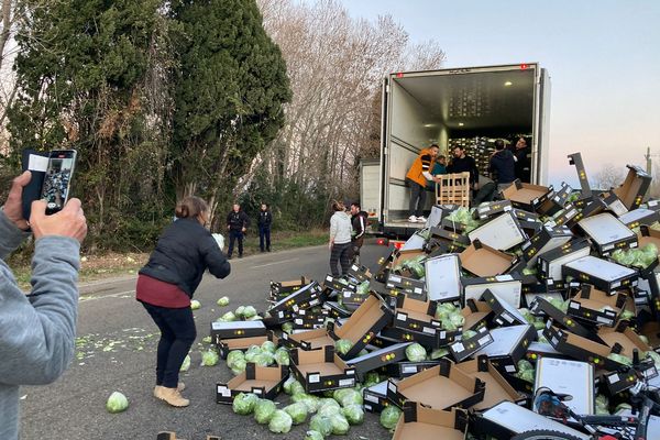 Des salades espagnoles déversées sur la chaussée à Salon de Provence jeudi 25 janvier.