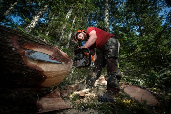 des bucherons contrôlés par les gendarmes dans les Hautes-Pyrénées