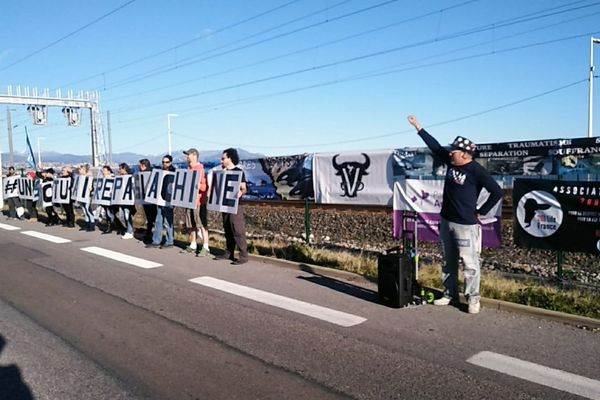 Les manifestants se sont réunis sur la RD6007.