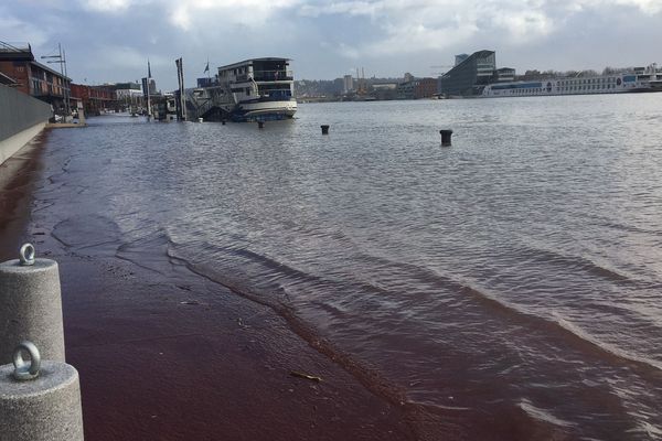 La crue de la Seine rive droite en février 2020