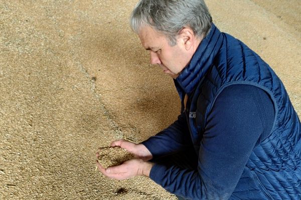 Les céréaliculteurs commeThierry Bossuyt, agriculteur à Louvigny près de Caen, vont bénéficier du cours mondial du blé très élevé. En parallèle, leurs dépenses en engrais explosent.