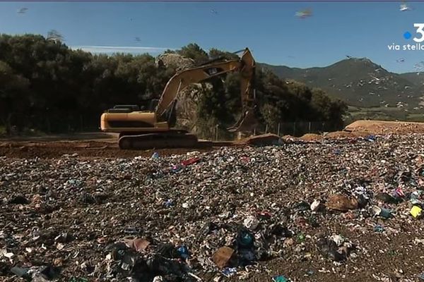 À Viggianello, où se trouve le site d'enfouissement le plus important de l'île que des habitants veulent se faire entendre.