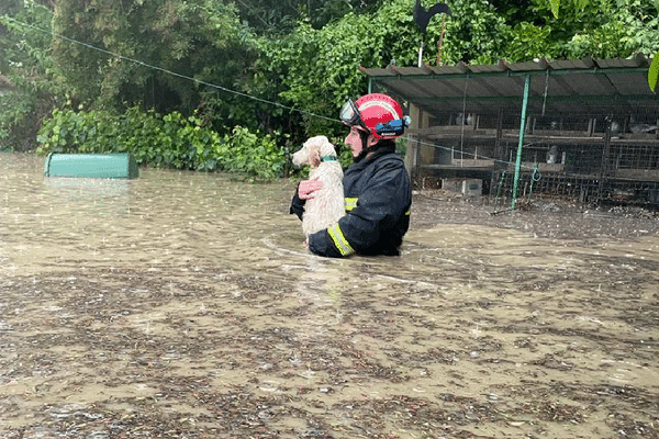 Une centaine de sapeurs pompiers et 20 engins de secours sont mobilisés pour faire face à ces intempéries.