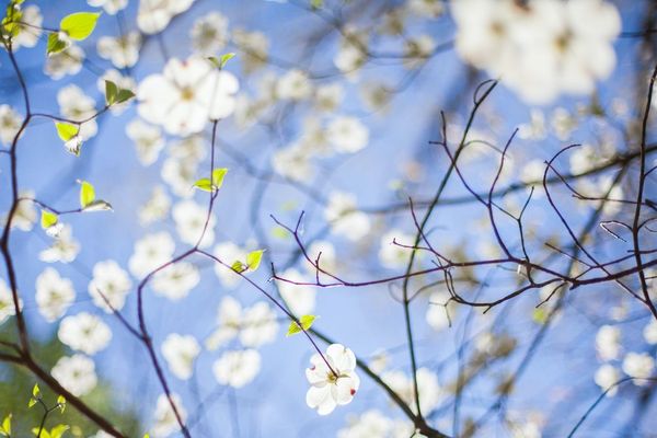 Le beau temps nous accompagne une fois de plus