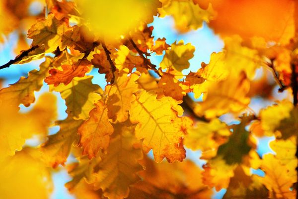 L'automne dans le Haut-Var