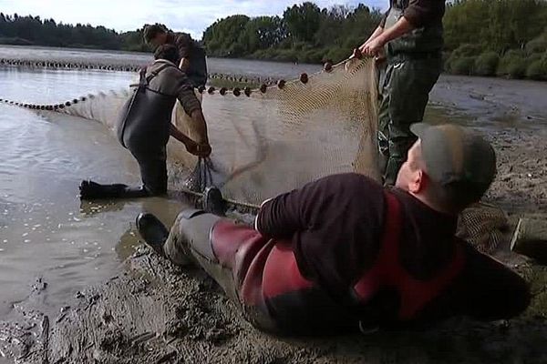 La pêche des étangs de Brenne dans l'Indre est ouverte