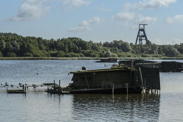 L'étang Chabaud Latour à Condé-sur-l'Escaut, en août 2018.