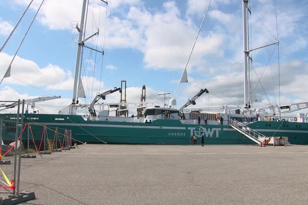 Le premier cargo à voiles "Anémos" amarré au Havre - mardi 6 août 2024.