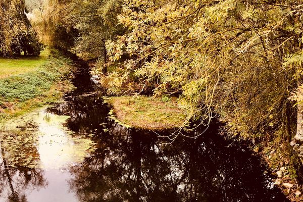 Une belle journée d'automne en perspective