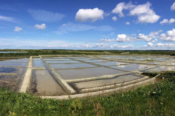 Des marais salants à Batz-sur-Mer (Loire-Atlantique)