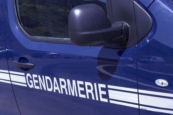 Pour une raison inconnue, vers 13h45, une voiture seule a percuté un enfant de 3 ans rue de la Clède sur la commune de La Grand Combe et a pris la fuite. La gendarmerie lance un appel à témoin. 