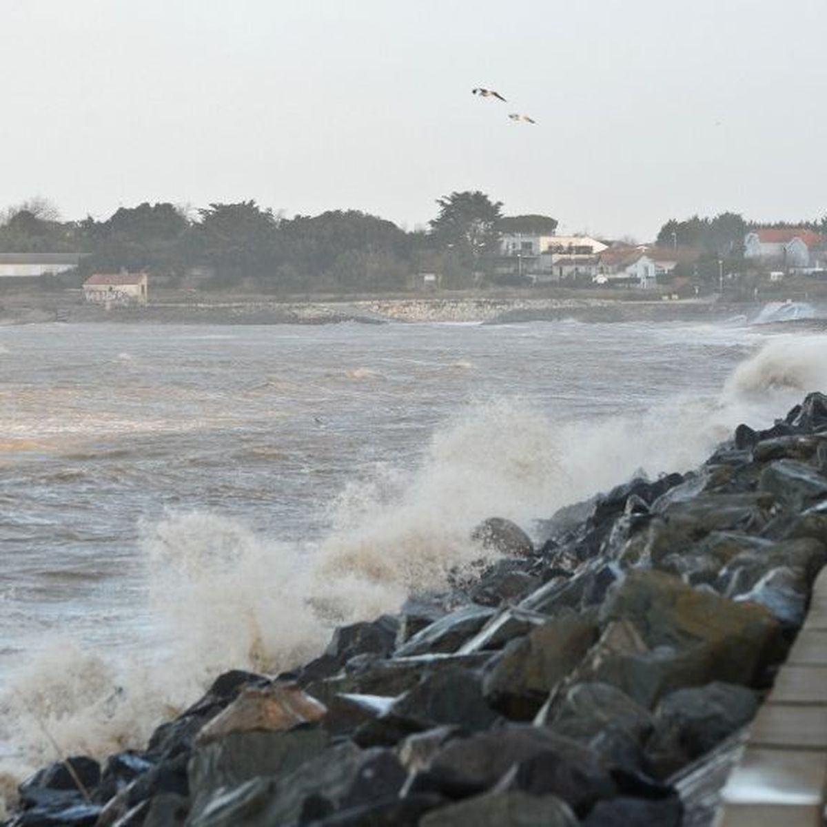 Tempête Ciara : à quoi faut-il s'attendre en Charente et Charente-Maritime  ? - France Bleu