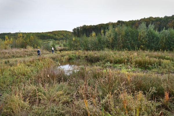 Un projet de retenue d'eau pourrait impacter à nouveau le site de Sivens (Tarn), lieu où est mort le jeune Rémi Fraisse.