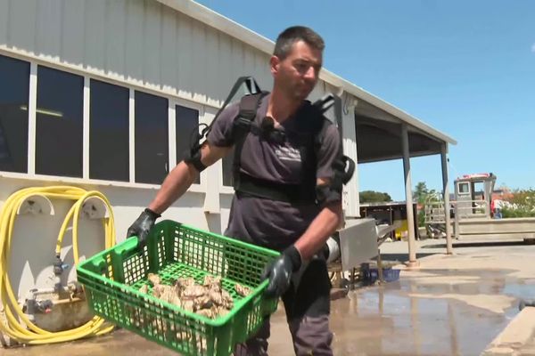 Salarié du lycée de la mer de Bourcefranc-le-Chapus (Charente-Maritime), Laurent Chaboussie teste l'exosquelette lancé par la MSA des Charentes.