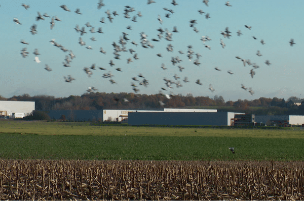 La future plateforme logistique est prévue zone du Coutier à Cherré-Au