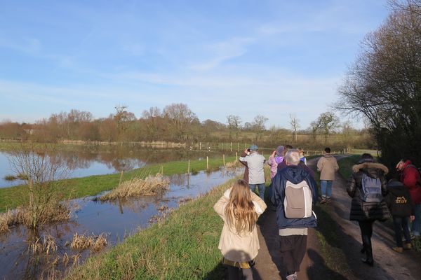 Accompagné d’un guide, découvrez paysage, histoire eau et oiseaux...