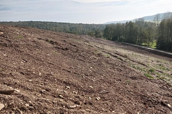 Le terrain dévasté où se trouvait autrefois la portion de forêt sous laquelle a été recherché le corps d'Estelle Mouzin.