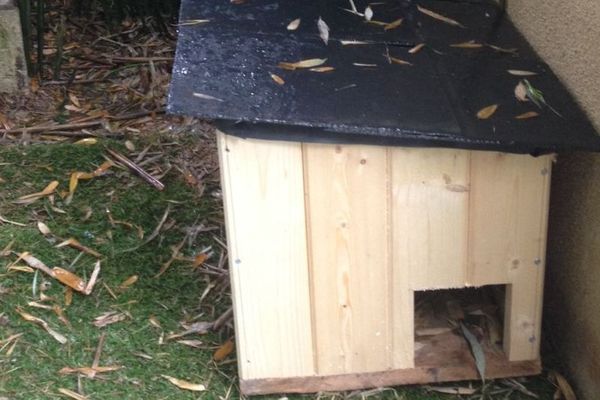 Lili et Riri, deux hérissons trouvés au centre-ville de Dijon, logent désormais dans une véritable petite maison en bois. 