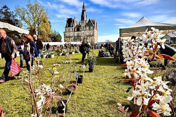 11e Fête des plantes à Magnac-Laval, ce dimanche 9 avril.