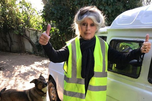 La plus célèbre des Tropézienne n'a pas hésité à porter un gilet jaune et à poster la photo sur les réseaux sociaux.