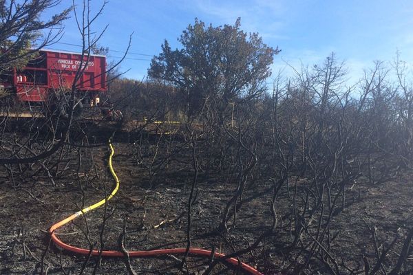 Attisé par un vent fort, 30 hectares de pinède et de chênes verts ont brûlé sur la commune de Joncels (nord-ouest de l'Hérault).