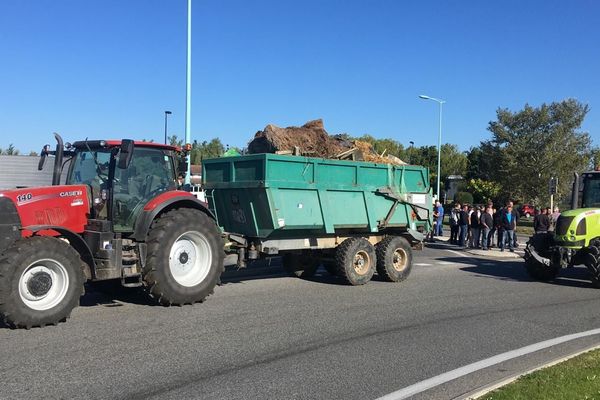 Des agriculteurs manifestent à Montauban à l'appel de la FDSEA