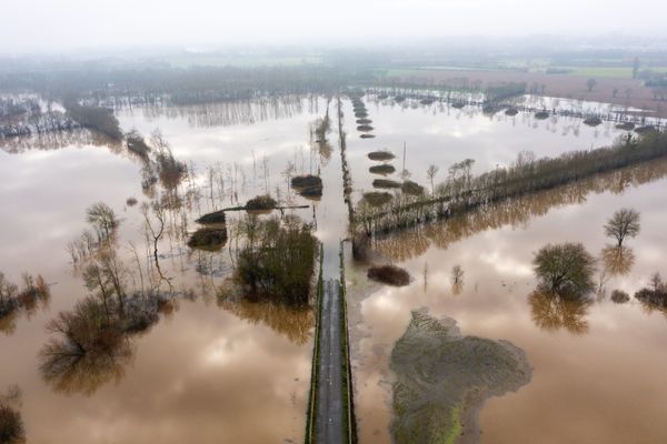 Après deux années de sécheresse, la Loire en crue au niveau de la commune de Montjean sur Loire, en décembre 2023.