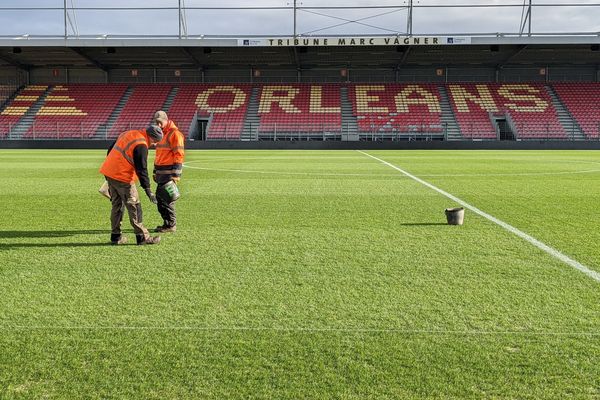 Ramasser les morceaux de verres épendus par erreur sur la pelouse du stade de l'USO n'aura pas suffit. La club a décidé de scalper et remplacer le gazon hybride par de la pelouse naturelle.