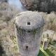 Partez à la découverte du château de l'Ours dans l'Allier.