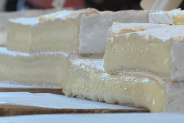 Le brie de Montreau possède un aspect similaire à ses cousins et pourtant, son cahier des charges est bien différent