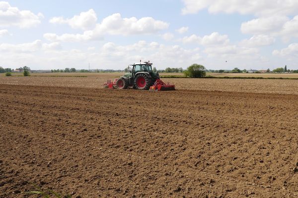 L'agriculteur agressé conduisait son tracteur avec une benne. Il terminait de récolter des betteraves sucrières. Image d'illustration.