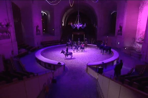 Une répétition de « la Belle et la Bête », spectacle de Noël 2015 aux Grandes écuries de Chantilly 