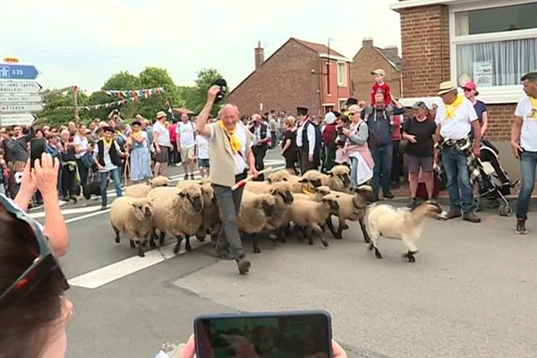 A Berthen ce lundi 10 mai : une fête autour des 17 moutons de ce berger