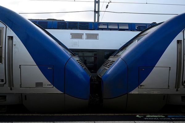 La grève des cheminots contre la réforme des retraites continue. Samedi 11 et dimanche 12 janvier, le trafic ferroviaire reste perturbé sur l’ensemble du réseau SNCF en Auvergne-Rhône-Alpes. Le point sur la région. 